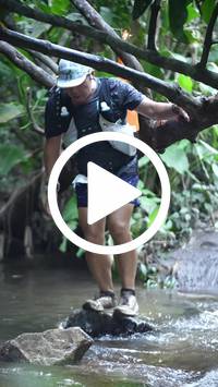 BIB:  <button type="button" onclick="openModal(27824786)" class="btn btn-primary btn-sm float-right" data-toggle="modal" data-target=".modal-high-quality">
                <i class="fa fa-download"></i> Download
                </button>